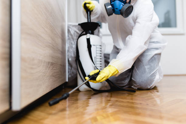 Best Exterminator Services  in Erda, UT
