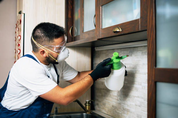Best Residential Pest Control  in Erda, UT