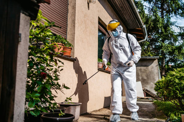 Best Wasp Removal Services  in Erda, UT