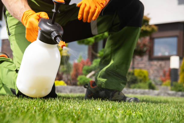 Best Residential Pest Control  in Erda, UT