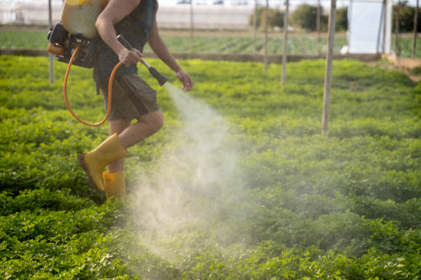 Best Affordable Pest Control Services  in Erda, UT