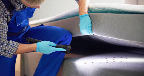 Best Affordable Pest Control Services  in Erda, UT
