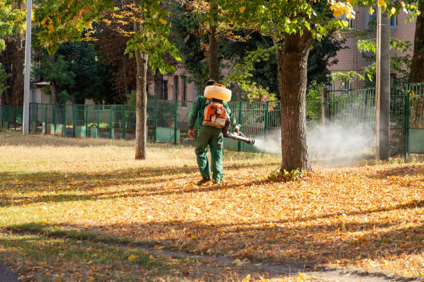 Reliable Erda, UT Pest Control Solutions