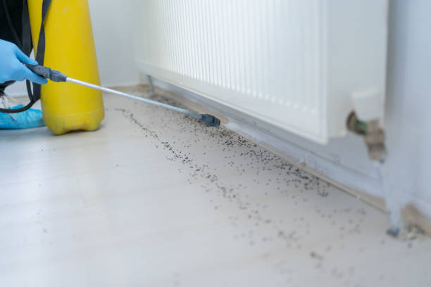 Best Commercial Pest Control Services  in Erda, UT