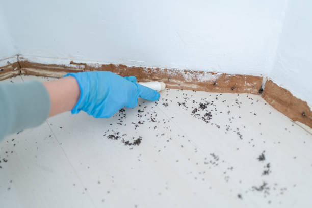 Wildlife Control Services in Erda, UT
