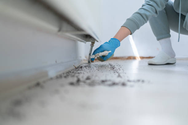 Flea Control Services in Erda, UT