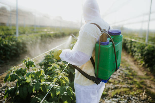 Best Pest Removal Services  in Erda, UT